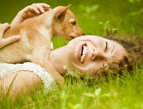Feeling Down….Get a Furry Friend – The Physical and Mental Health Benefits of Owning a Pet