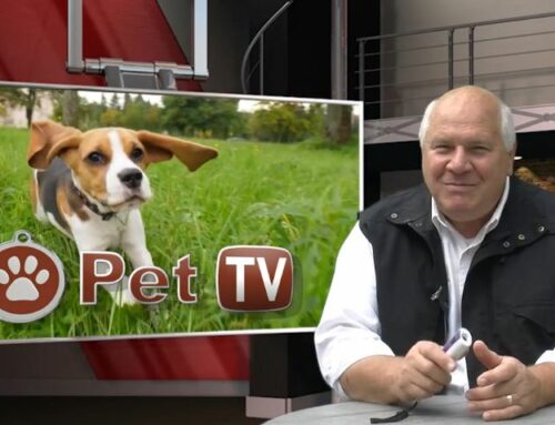 DOGGIE DON’T® featured on PET TV – 21st Century American Pet Series
