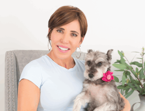 Millie: The Little Schnauzer Who Changed Everything